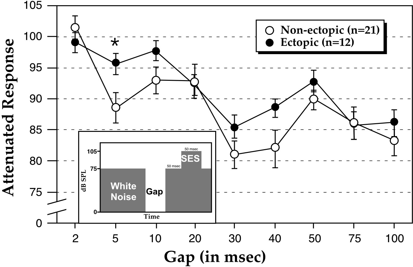 Animal Models of Dyslexia