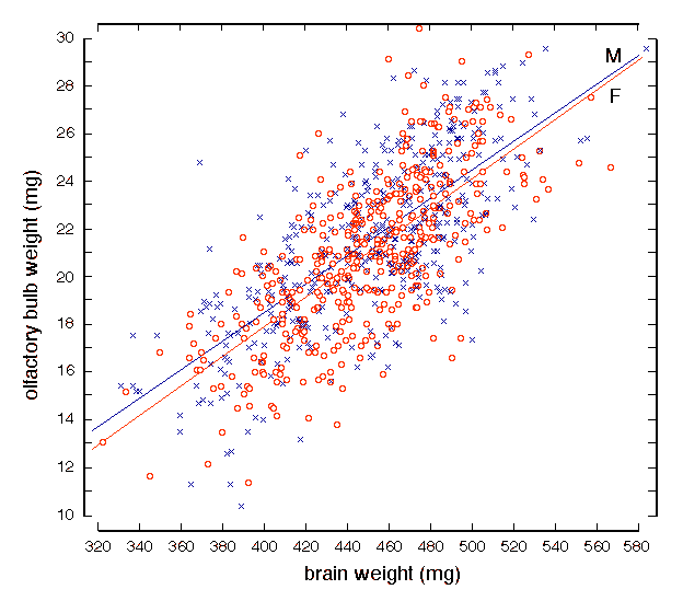 Figure 2: Correlation of brain weight and bulb weight
