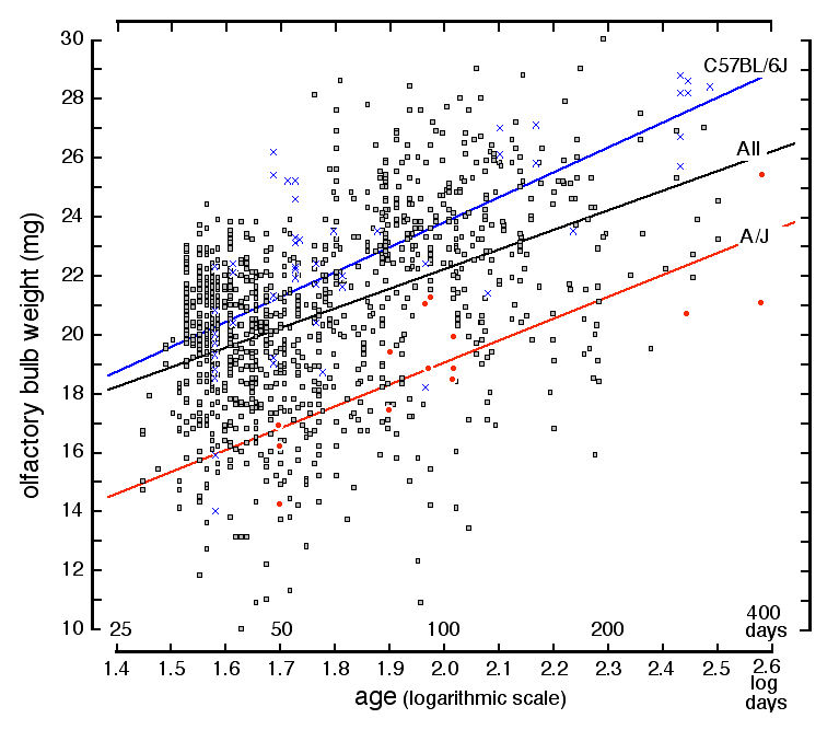Figure 3: Increase in bulb weight with age