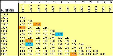 CXB strain Matrix