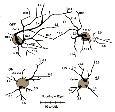 Figure 12