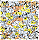 Figure 7c