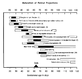 Figure 26