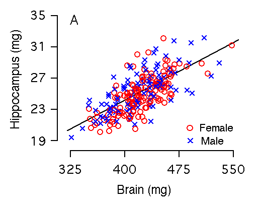 Figure 2A: Correlation of brain weight and hippocampal weight