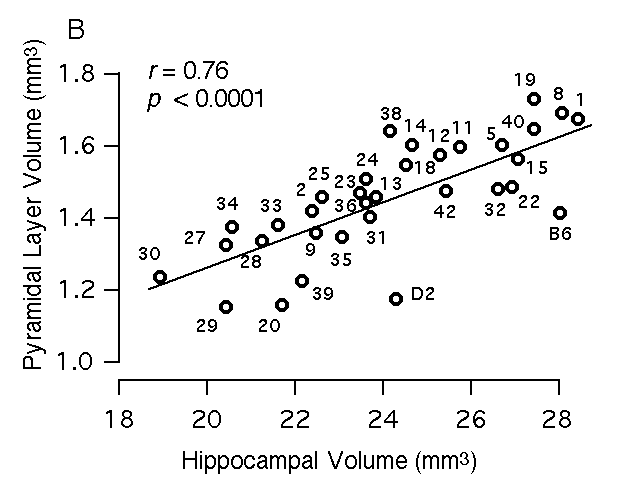 Figure 3B: Structural Correlations