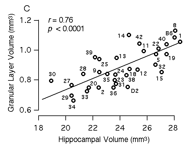 Figure 3C: Structural Correlations