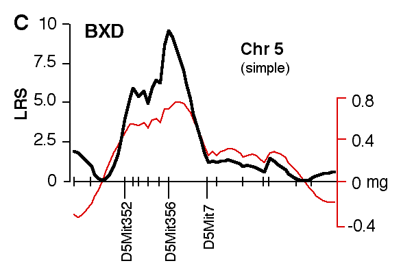 Figure 4C: Structural Correlations