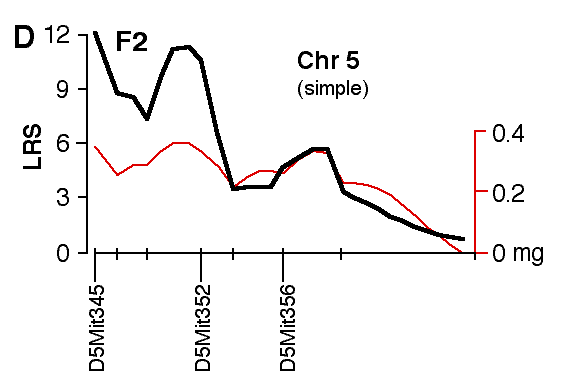 Figure 4D: Structural Correlations