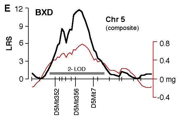 Figure 4E: Structural Correlations