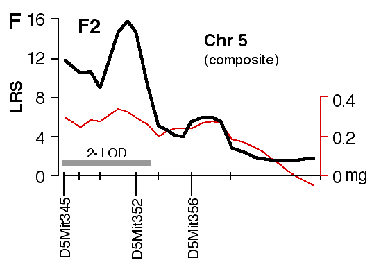 Figure 4F: Structural Correlations