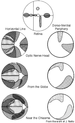 Topography